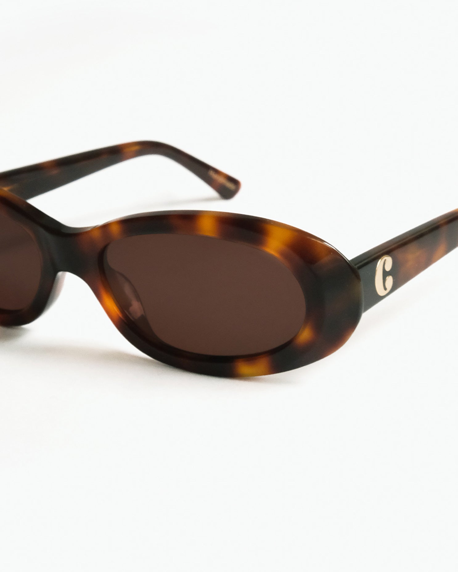 Louis Sunglasses in Tortoise Brown
